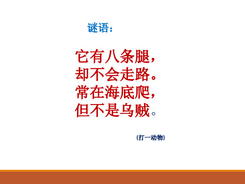 小学综合实践活动《小章鱼》优质课公开课课件