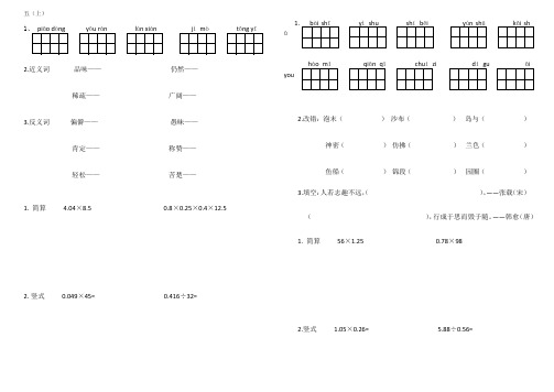 五年基础练(数+语)