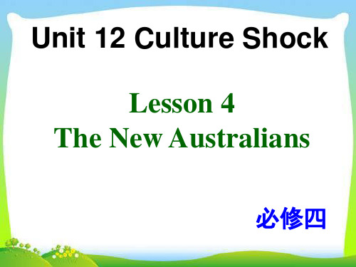 北师大版高中英语必修四 Unit 12 Lesson 4教学课件