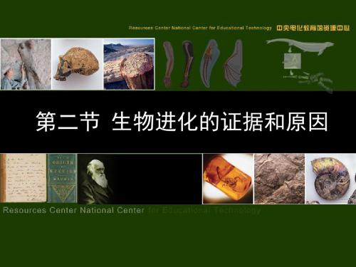 【初中生物】生物进化的证据和原因PPT课件