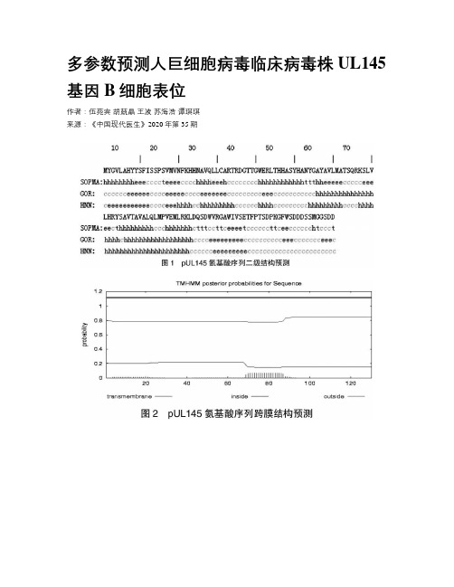 多参数预测人巨细胞病毒临床病毒株UL145基因B细胞表位