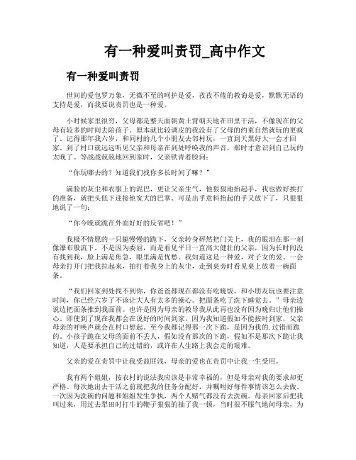 有一种爱叫责罚高中作文