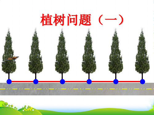 苏教版三年级下册数学课件10.5 植树问题 (共16张PPT)