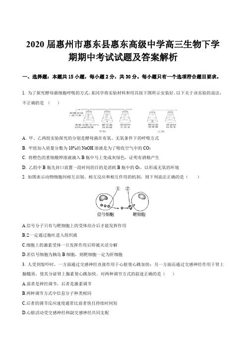 2020届惠州市惠东县惠东高级中学高三生物下学期期中考试试题及答案解析