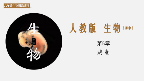 (人教版)最新八年级生物上册精品教学课件5.5 病毒