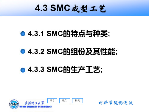 SMC成型工艺武汉理工大学