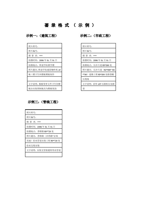 照片内容著录格式(示例).doc