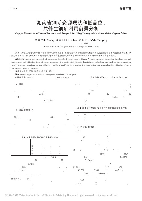 湖南省铜矿资源现状和低品位_共伴生铜矿利用前景分析_吴盛