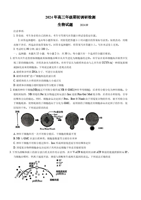 2024-2025学年山东省青岛市高三上学期期初考生物试题及答案