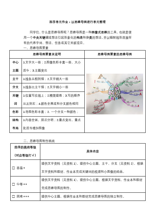 小学科学六年级上册  思维导图 作业设计