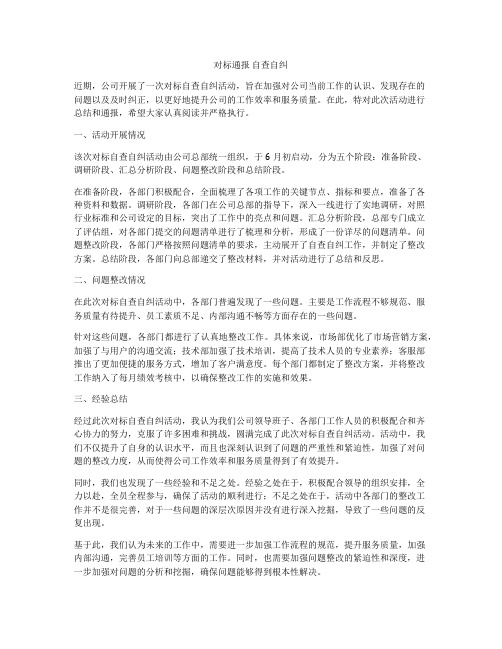 对标通报 自查自纠