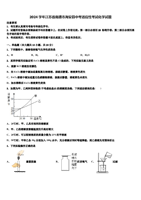 2024届江苏省南通市海安县中考适应性考试化学试题含解析