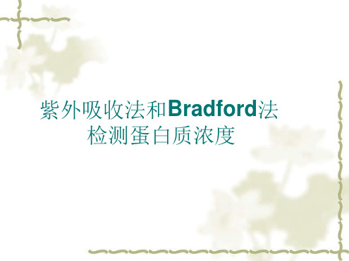 紫外吸收法和Bradford法检测蛋白质浓度