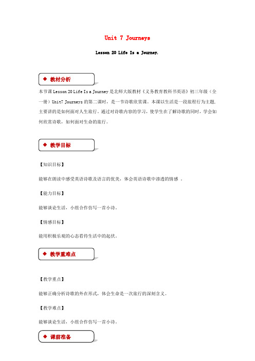 九年级英语全册 Unit 7 Journeys Lesson 20 Life in a Journe