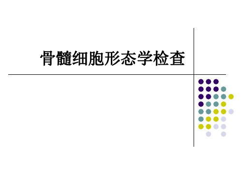 实验诊断学：骨髓细胞形态学检查