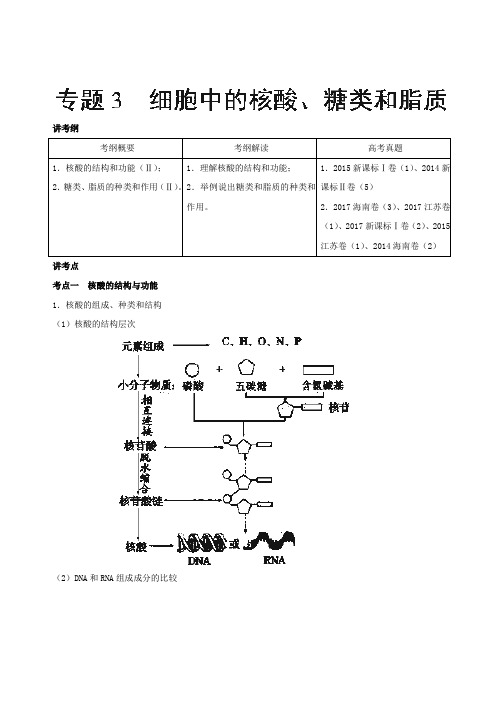 [高考生物]一轮复习人教版 细胞中的核酸、糖类和脂质 教案.doc