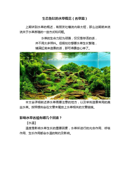 生态鱼缸的水草概览（养草篇）