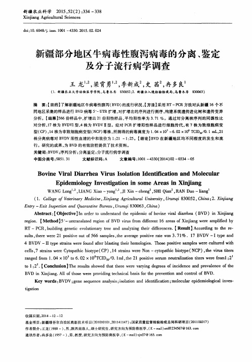 新疆部分地区牛病毒性腹泻病毒的分离、鉴定及分子流行病学调查