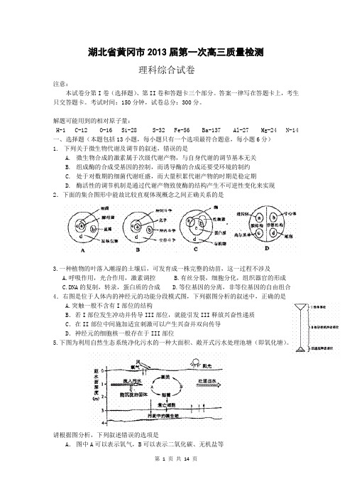 理综卷·2013届湖北省黄冈市高三第一次质量检测(2012.11)