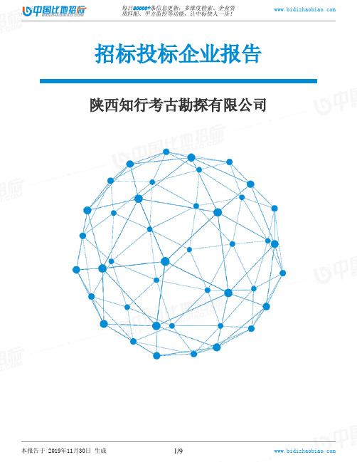 陕西知行考古勘探有限公司-招投标数据分析报告