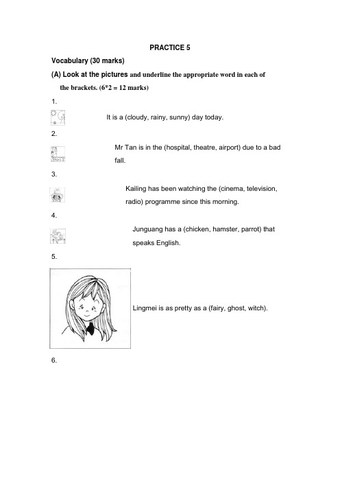 新加坡小学一年级英语试PRACTICE5