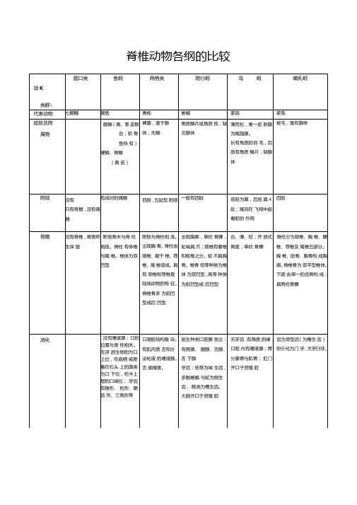 脊椎动物各纲的比较