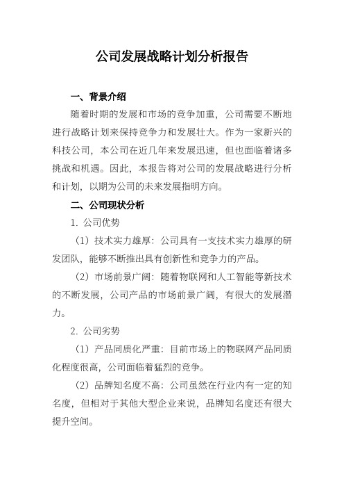 公司发展战略规划分析报告