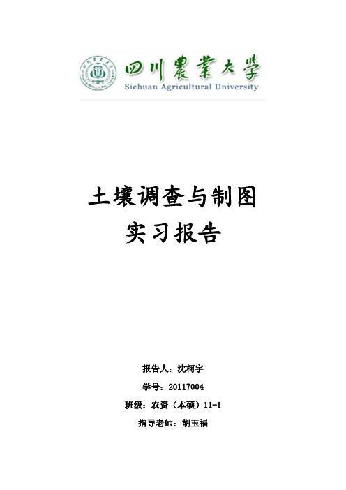 四川农业大学土壤调查与制图实习报告