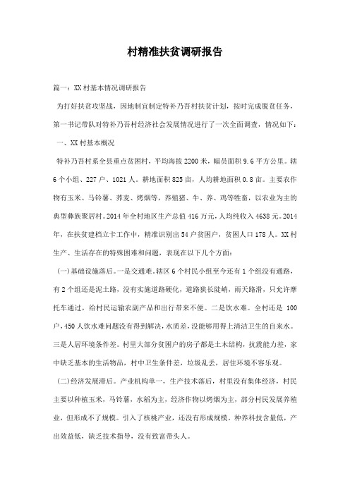 村精准扶贫调研报告