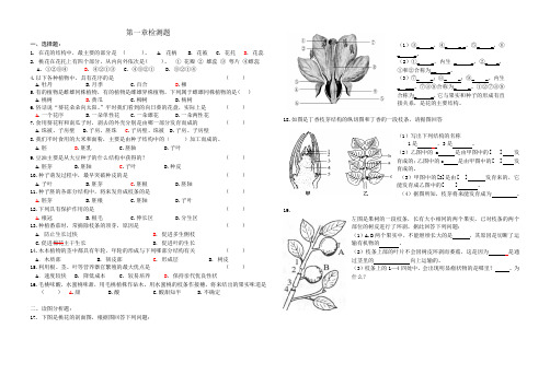 济南版生物八上第一章检测题