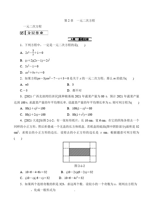 《一元二次方程》分层作业