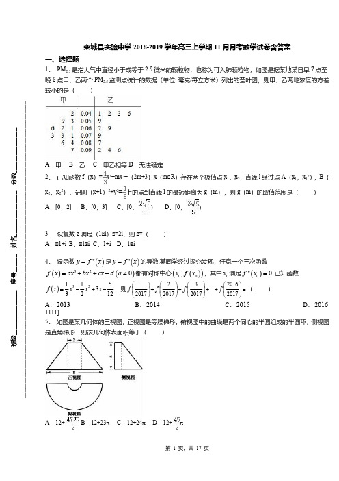 栾城县实验中学2018-2019学年高三上学期11月月考数学试卷含答案