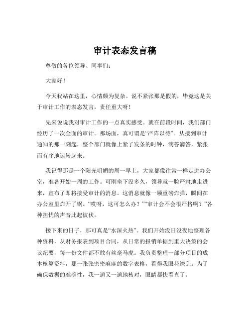 审计表态发言稿