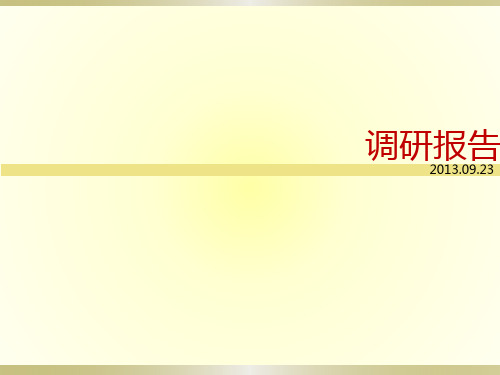 城市广场调研报告完整版