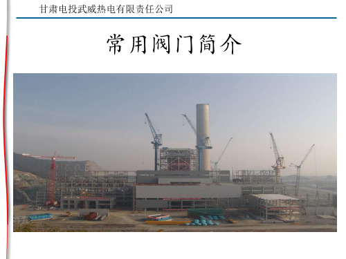 常用阀门介绍 ppt课件