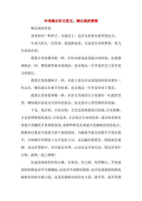 中考满分作文范文晒出我的青春(word文档)