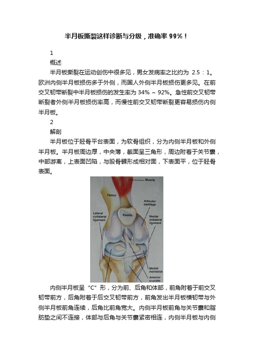 半月板撕裂这样诊断与分级，准确率99%！