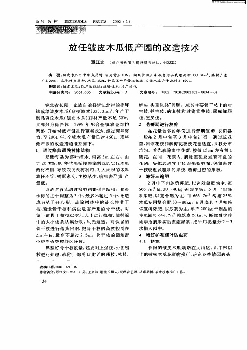 放任皱皮木瓜低产园的改造技术