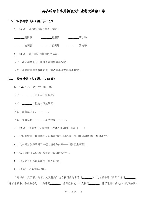 齐齐哈尔市小升初语文毕业考试试卷B卷