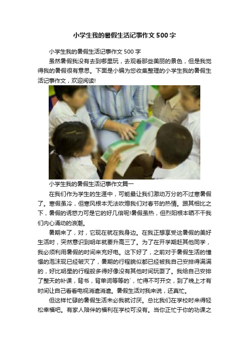 小学生我的暑假生活记事作文500字