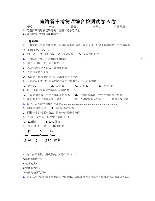 青海省中考物理综合检测试卷A卷附解析