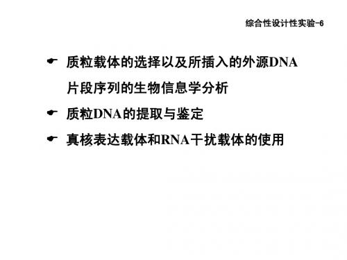 质粒DNA的提取和鉴定