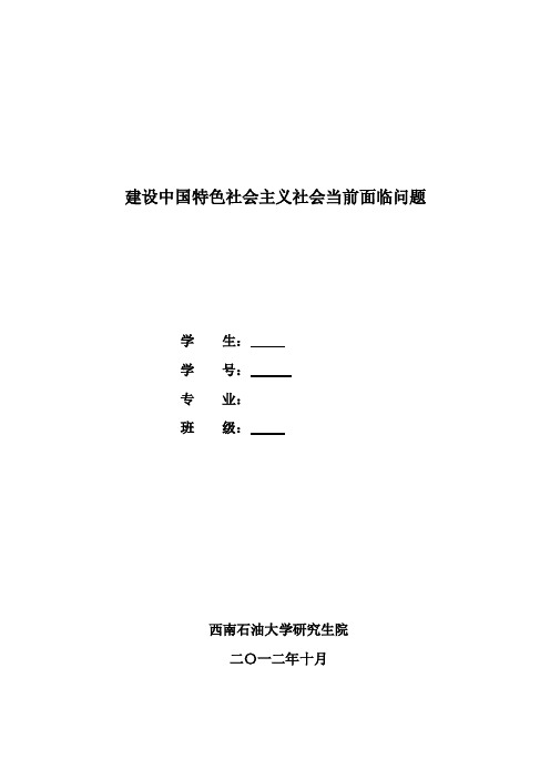 建设中国特色社会主义社会当前面临问题