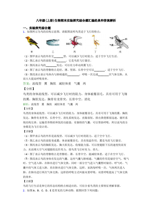 八年级(上册)生物期末实验探究综合题汇编经典和答案解析