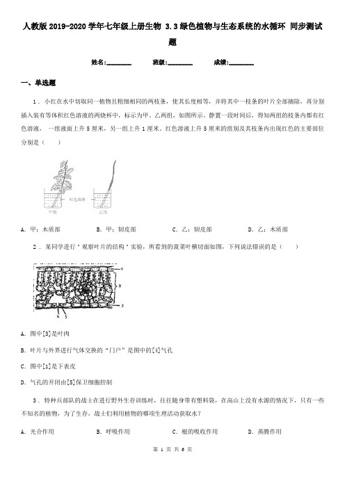 人教版2019-2020学年七年级上册生物 3.3绿色植物与生态系统的水循环 同步测试题