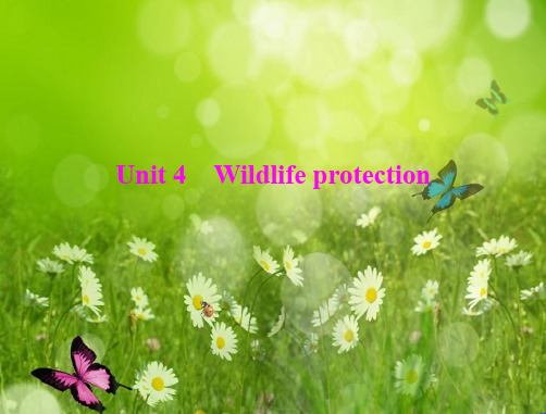 高考英语一轮复习课件人教版必修二 unit4《wildlife protection》 