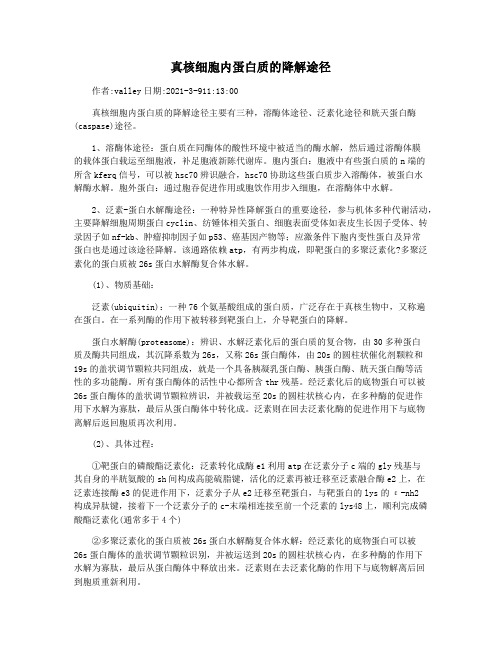 真核细胞内蛋白质的降解途径