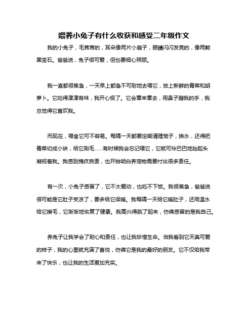 喂养小兔子有什么收获和感受二年级作文