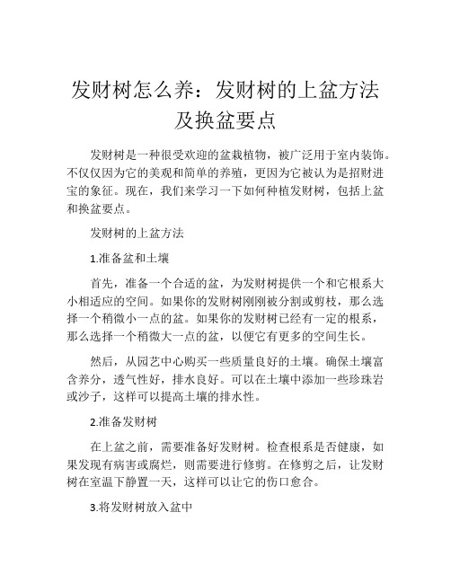 发财树怎么养：发财树的上盆方法及换盆要点