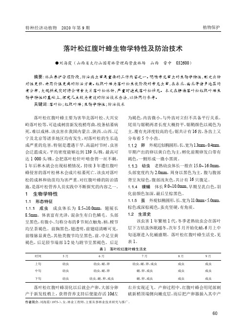 落叶松红腹叶蜂生物学特性及防治技术